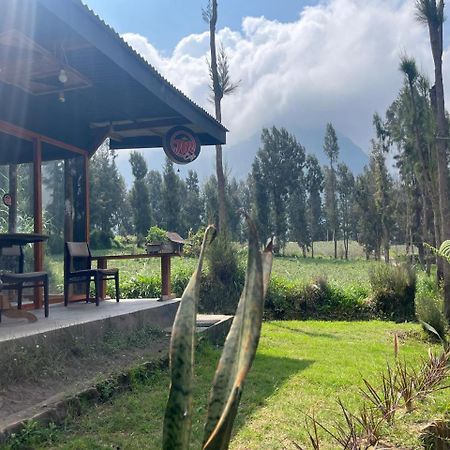 Gangga Guest House Bromo Ngadisari Εξωτερικό φωτογραφία